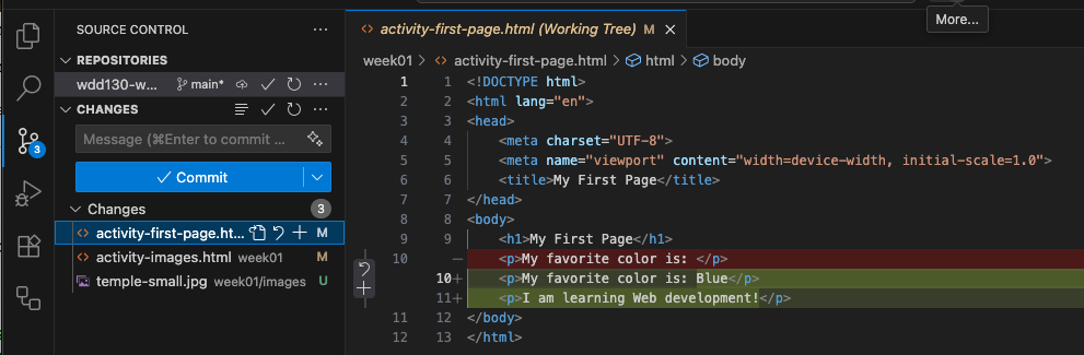 Shows the changes made to a file.