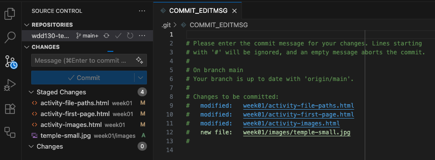 Shows a file open for a missing commit message.
